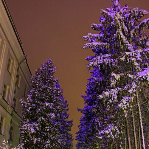 Photo #5938567