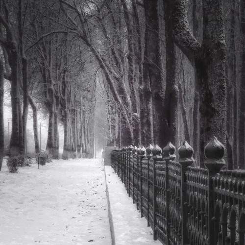 Photo #5938611