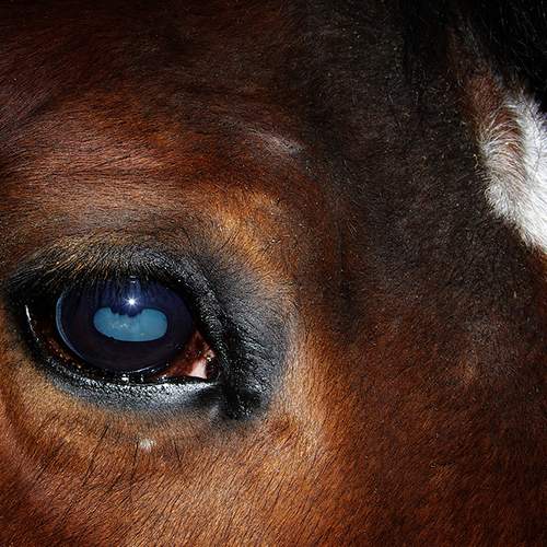Photo #5939026