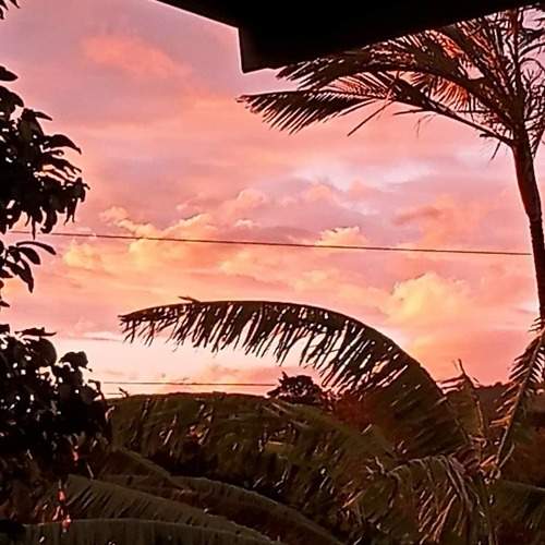 Photo #5939258