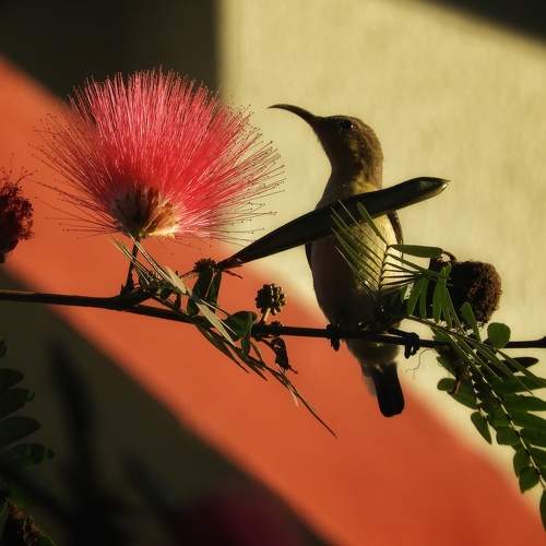 Photo #5939287
