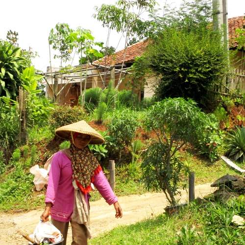 The Village Women