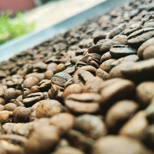 Photo #5939440
