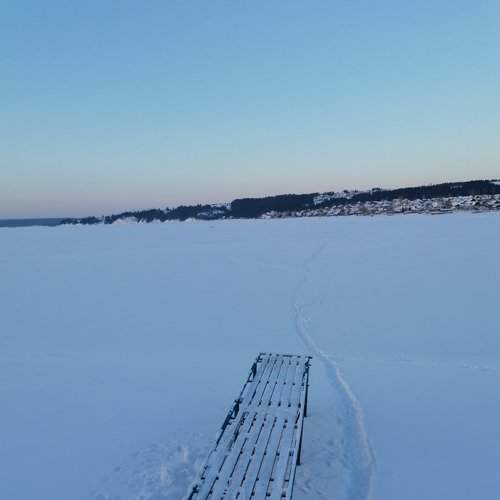 Photo #5939501