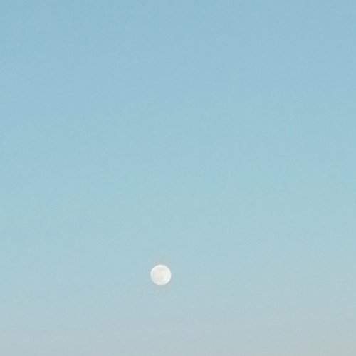 Photo #5939502