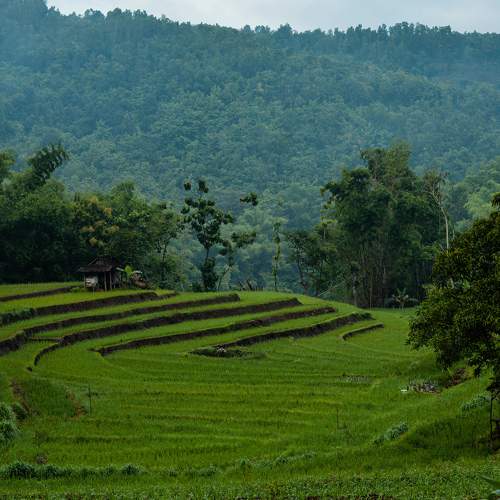 Photo #5939667