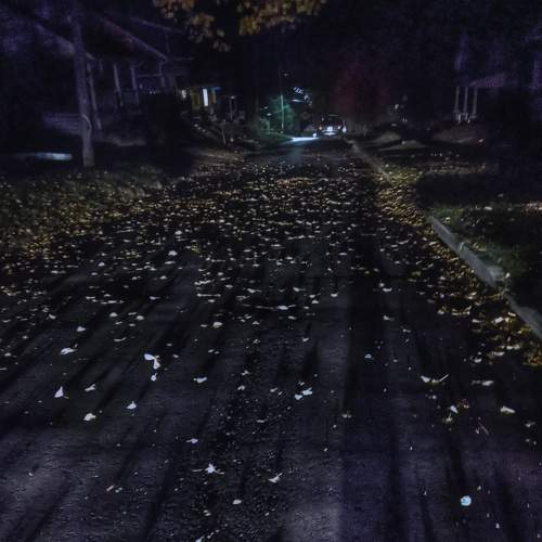 Photo #5939977