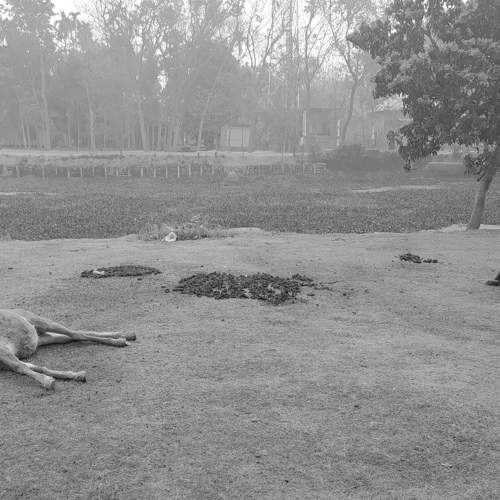 Photo #5940094