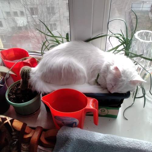 Photo #5940139