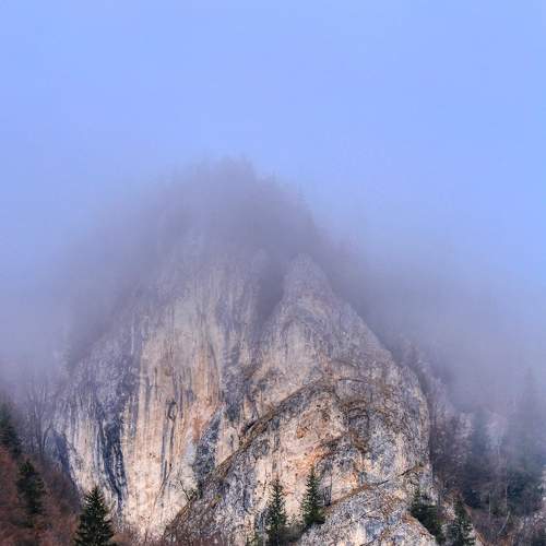 The Giant