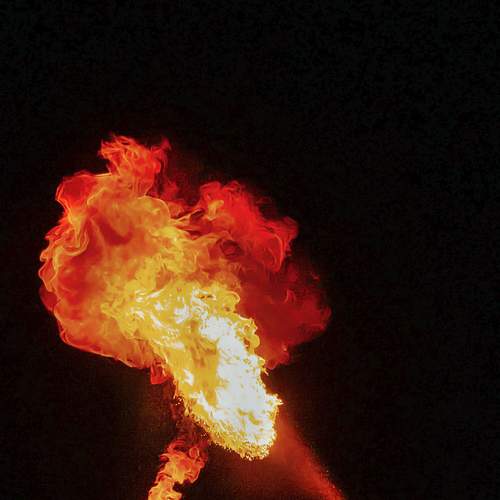 Photo #5940643