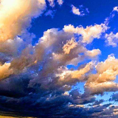 Photo #5940727