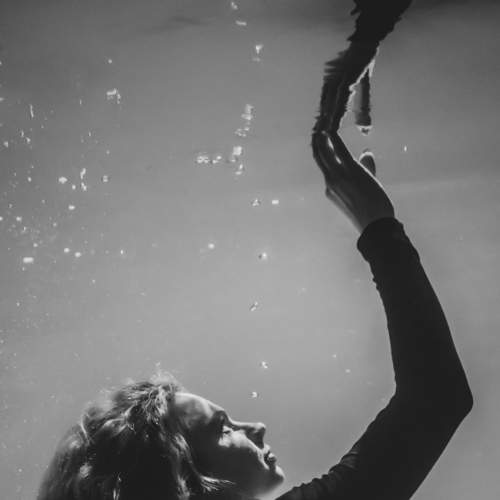 Photo #5940954