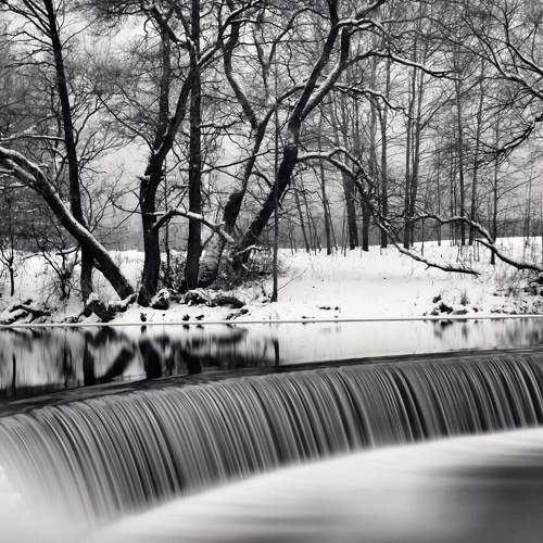 Photo #5940963