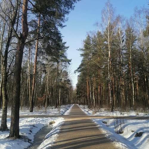 Photo #5941065