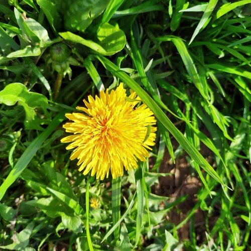 Photo #5941094