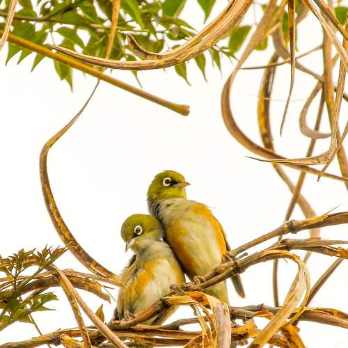 Photo #5941111