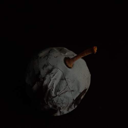Photo #5941143