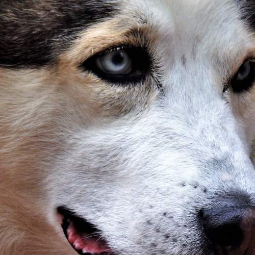 Photo #5941179