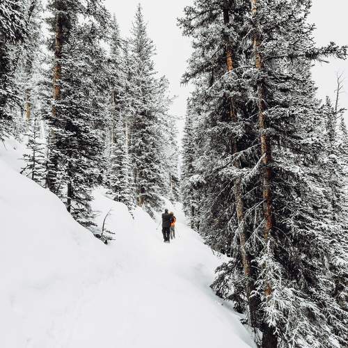 Photo #5941293