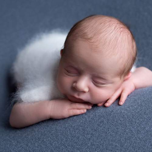 Photo #5941329