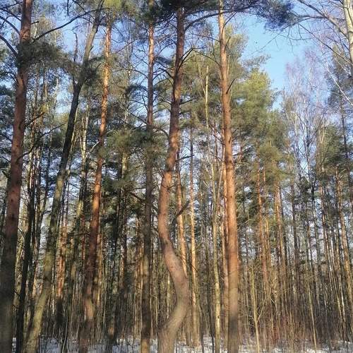 Photo #5941446