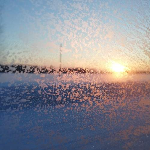 Photo #5941613