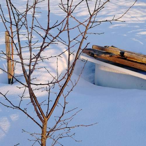Photo #5941837
