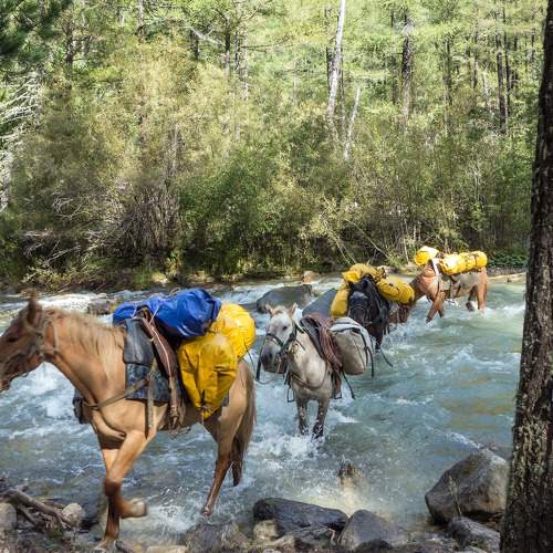 Photo #5941846