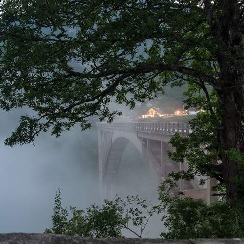 Photo #5941865