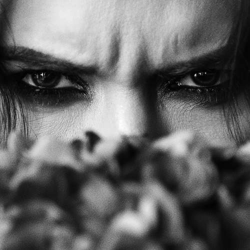 Фотография #5941893