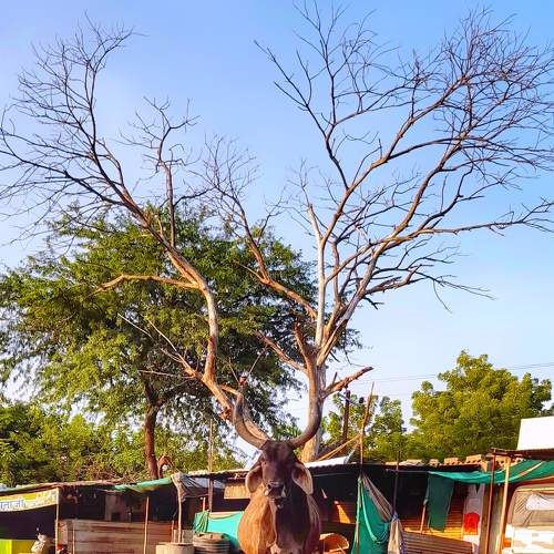 Photo #5942171