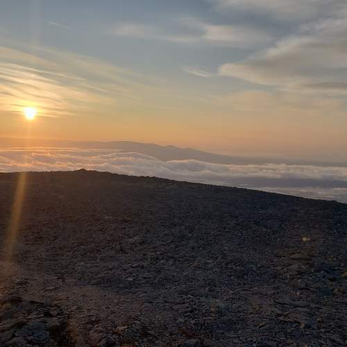 Photo #5942178