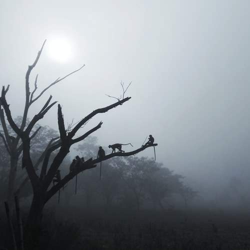 Photo #5942179