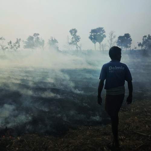 Photo #5942185