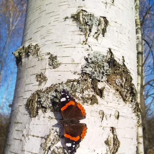 Photo #5942341