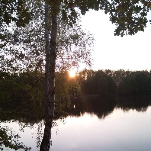 Photo #5942352