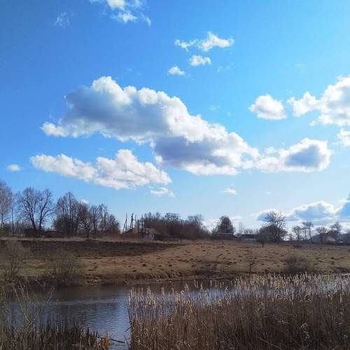 Photo #5942363