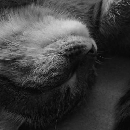 Photo #5942587