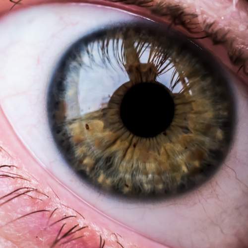 Photo #5942619