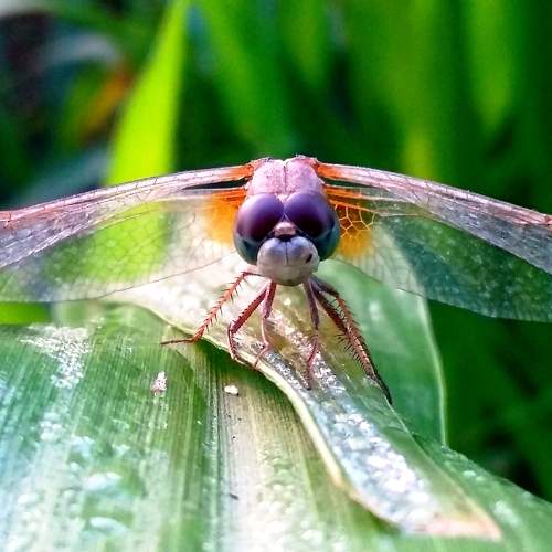 Photo #5942765