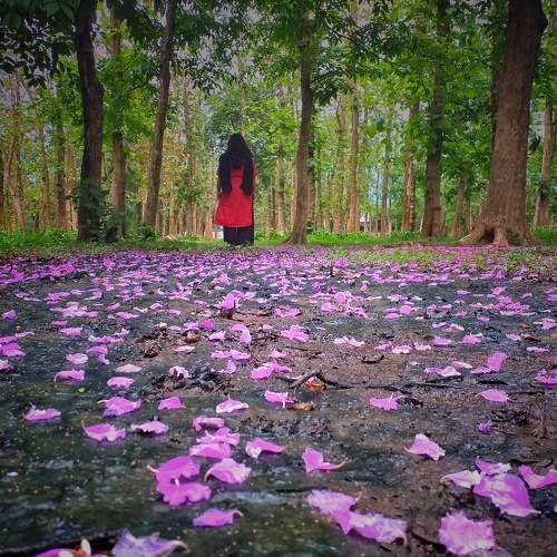 Peace in nature