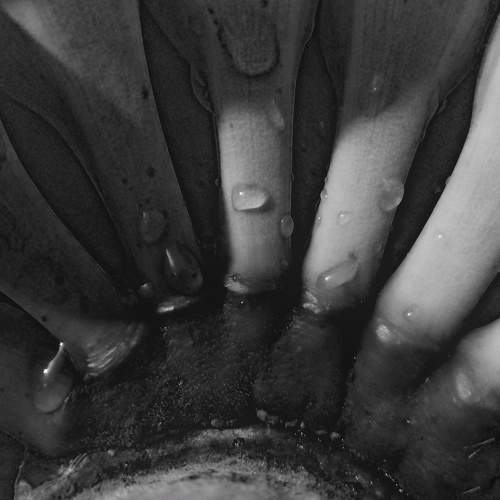 Photo #5943493