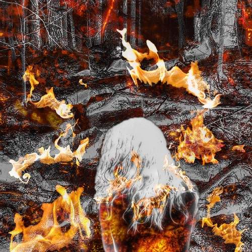 Photo #5943777