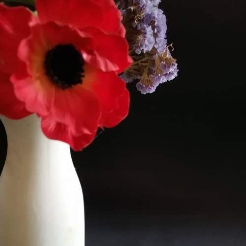 Photo #5943852