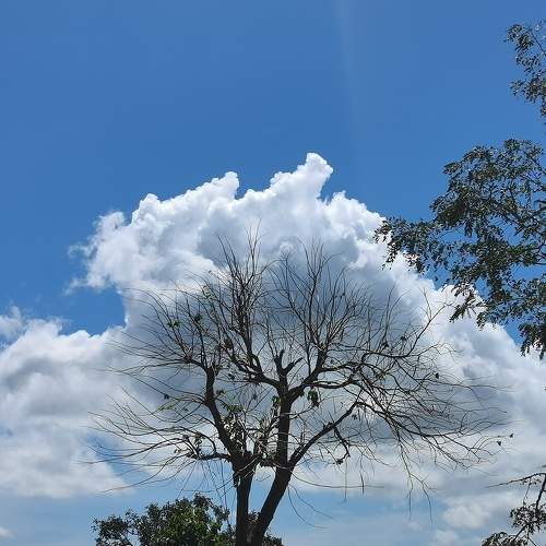 The beauty of Nature