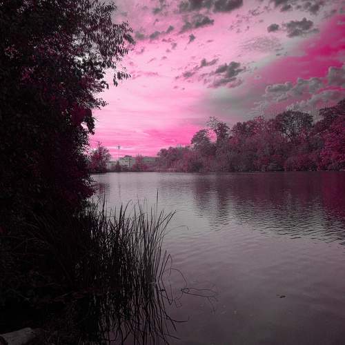 Photo #5943899