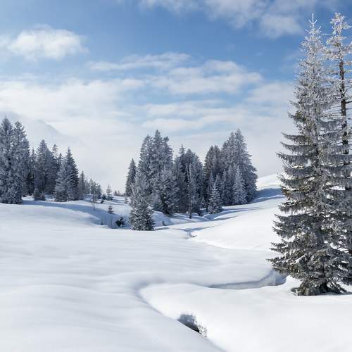 Photo #5944167