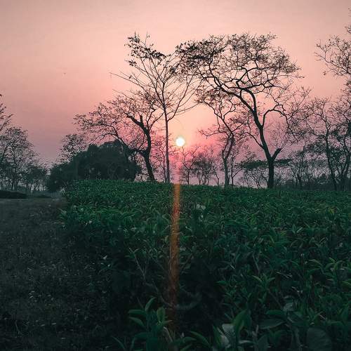 Photo #5944170