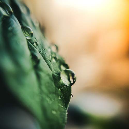Photo #5944282